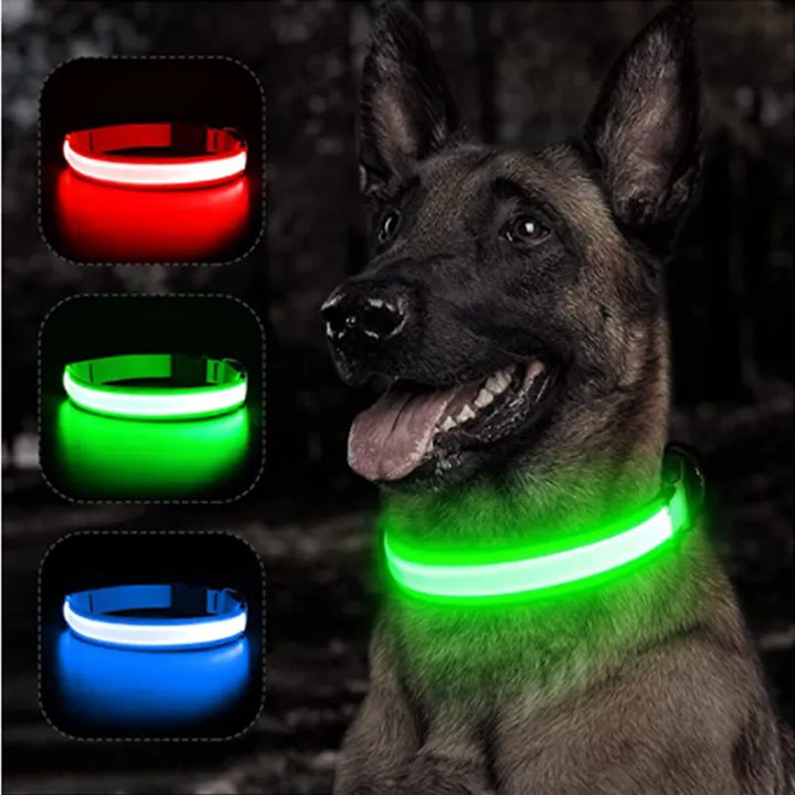 LED Glowing Dog Collar Adjustable