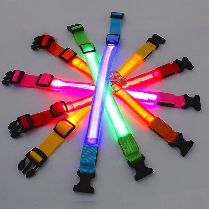 LED Glowing Dog Collar Adjustable