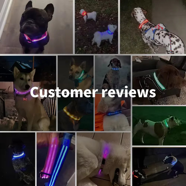 LED Glowing Dog Collar Adjustable