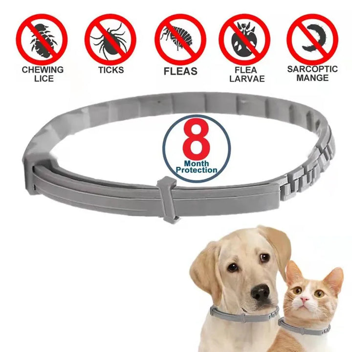 flea and tick collars for pets