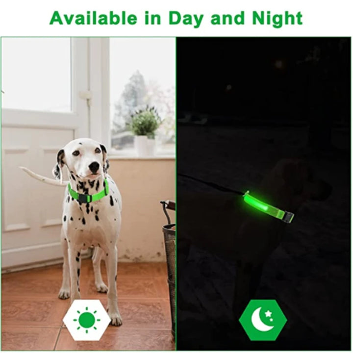 LED Glowing Dog Collar Adjustable