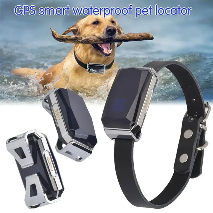 Smart Collar Waterproof Pet Locator