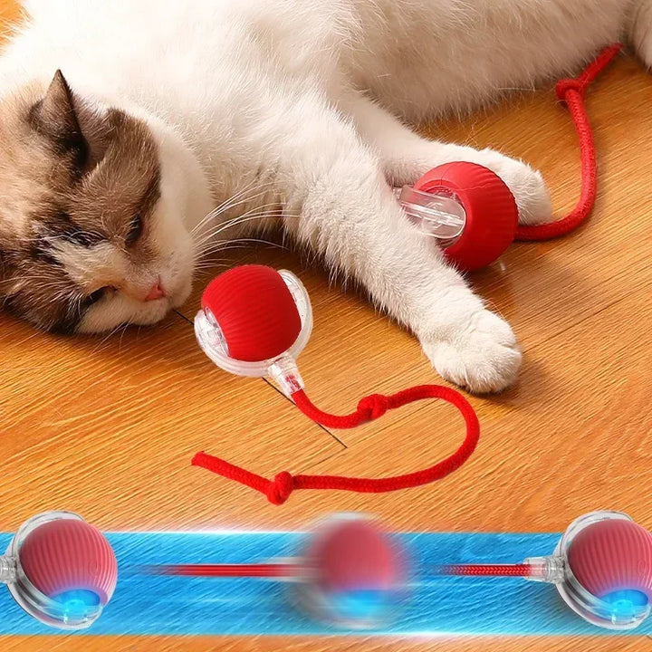 Automatic Rolling Ball Interactive Ball Cat Toys