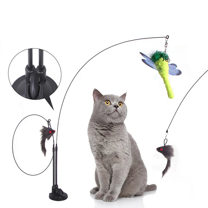 Cat Toys Simulation Bird interactive