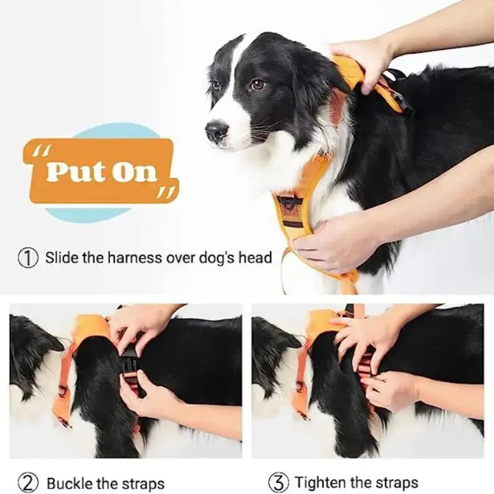 Comfy Walk Harness And Leash