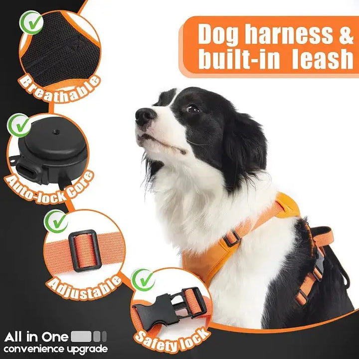 Comfy Walk Harness And Leash