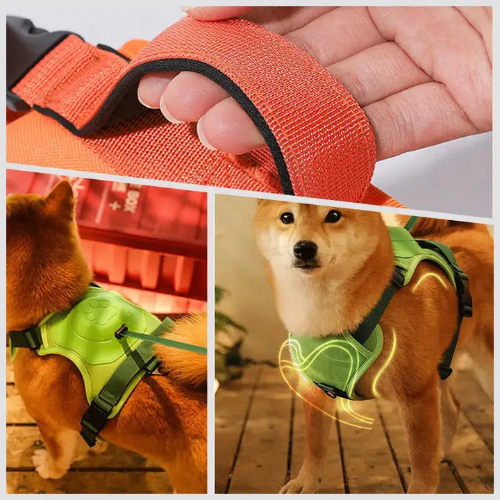 Comfy Walk Harness And Leash