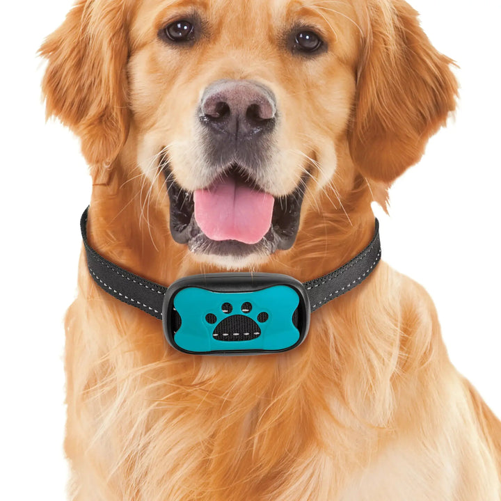 Pet-friendly Anti-Bark Collar